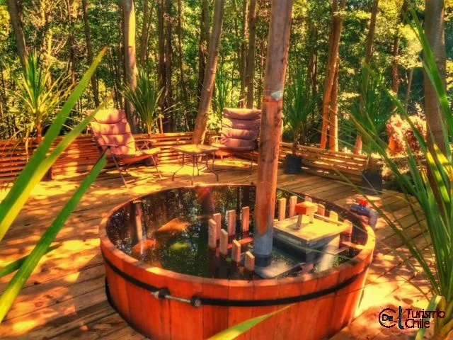 Tina de agua caliente de madera en deck con bosque nativo en Rucalhue